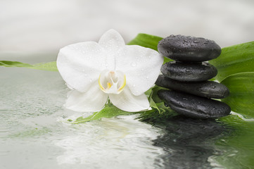 Fototapeta na wymiar spa Background - orchids black stones and bamboo on water