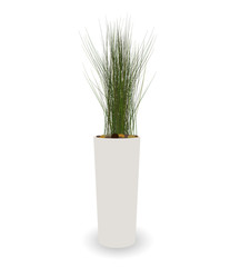 Home Green Plant in Nice Pot. Vector Illustration.