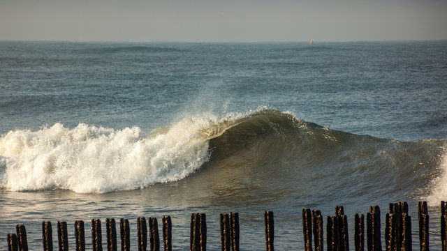 Fototapeta Sea wave, Black Sea, Poti, Georgian coast