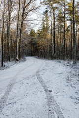 car tire tracks on winter road