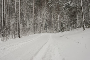 Obraz premium car tire tracks on winter road