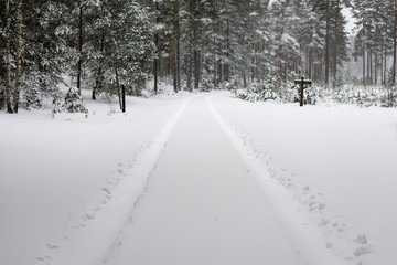 car tire tracks on winter road