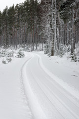 Fototapeta premium car tire tracks on winter road