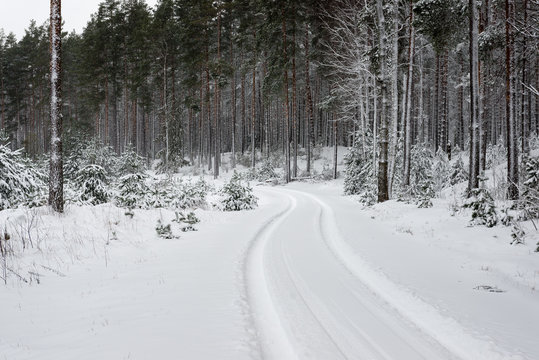 car tire tracks on winter road