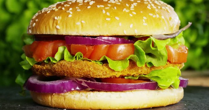 chicken burger with onions, tomatoes and parmesan salad and sauces that give flavor. The hamburger is a typical American food, a food to fast food.Concept: fast food,obesity, American food,restaurants