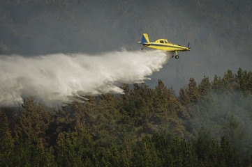 Avión hidrante en acción en un incendio forestal.