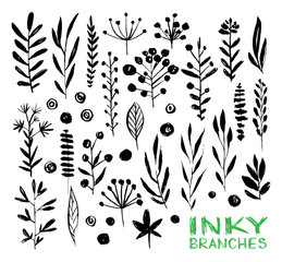 Vector black hand drawn botanical elements inky set, ink painted branches and leaves - 132756018
