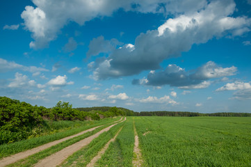 Fototapeta na wymiar rural landscape. field sandy road