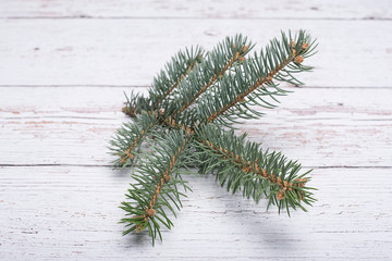 Pine branches on white table