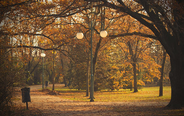 Naklejka premium Photo of a beauty autumn park