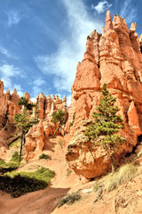 Bryce