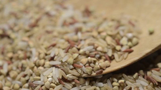 Fagopyrum esculentum Buckwheat Гречиха посевная Grano saraceno حنطة سوداء Hrișcă Gryka zwyczajna Hajdina Karabuğday Boekweit Trigo Sarrasin sarraceno כוסמת 