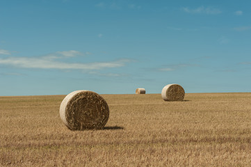 Three Bales