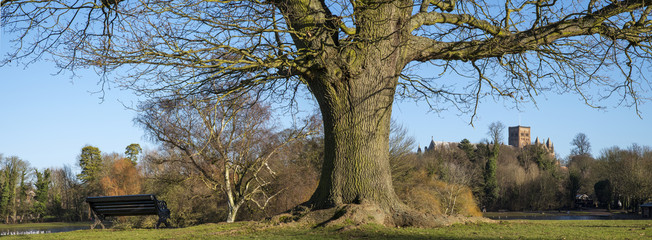 Obraz premium St. Albans in England