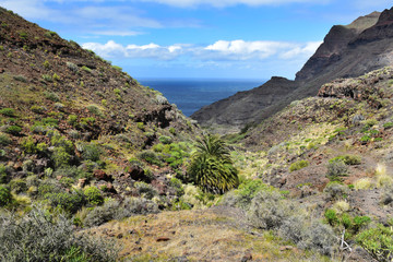 Fototapeta na wymiar Relaxing views of the mountains and ocean. Gran Canaria