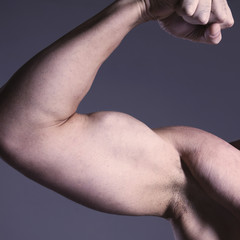 Strong Man Fitness Model Torso showing flexing bicep muscle (Hea