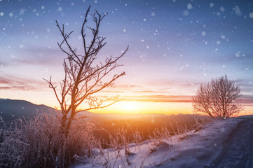 Fototapeta na wymiar beautiful winter landscape with mountain view. natural backgroun