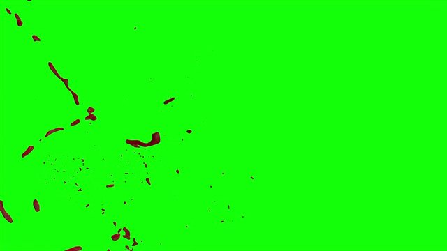 Hd Blood Burst Slow Motion (Green Screen) 182