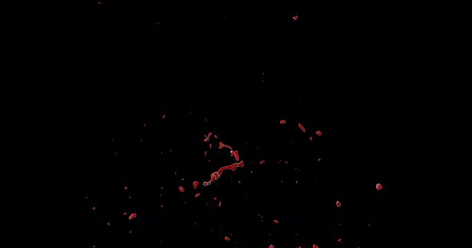4k Blood Burst Slow Motion (With Alpha) 124