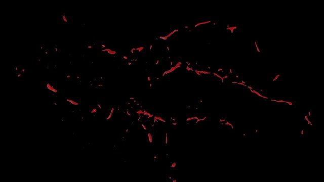 Hd Blood Burst Slow Motion (With Alpha) 81