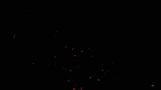 Hd Blood Burst Slow Motion (With Alpha) 102