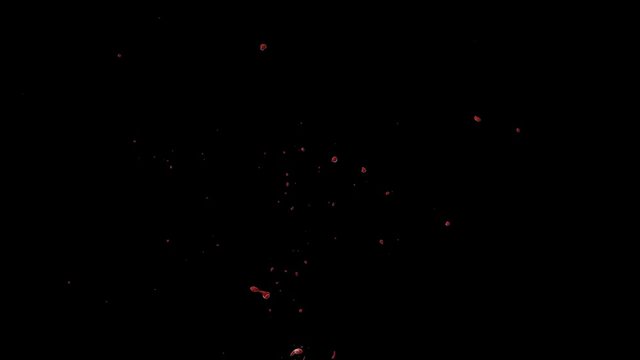 Hd Blood Burst Slow Motion (With Alpha) 103