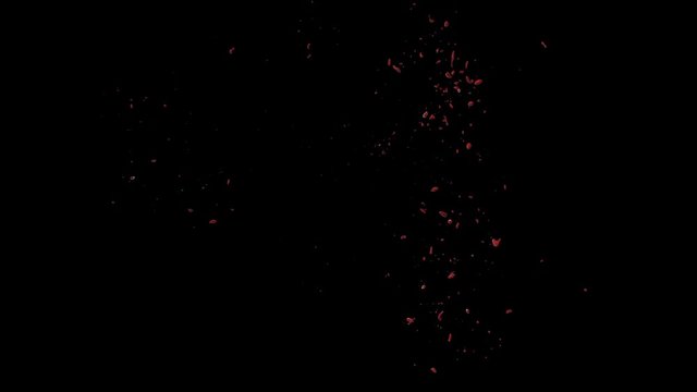 Hd Blood Burst Slow Motion (With Alpha) 107