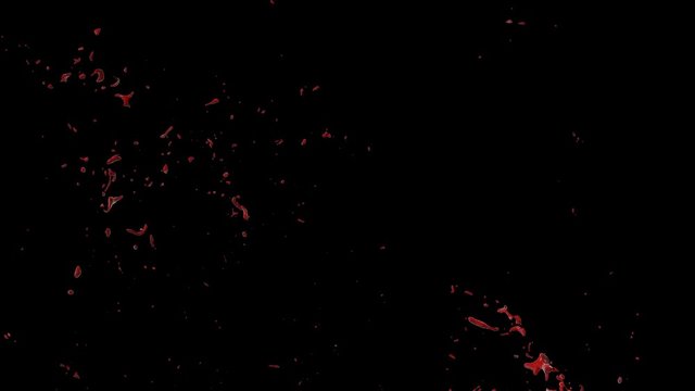 Hd Blood Burst Slow Motion (With Alpha) 111
