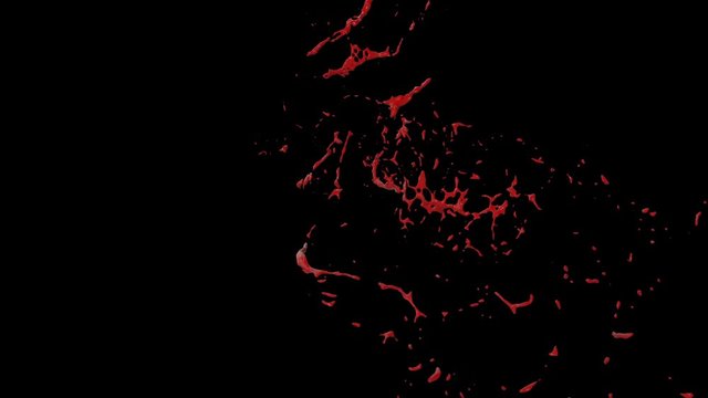 Hd Blood Burst Slow Motion (With Alpha) 149