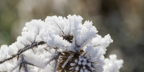 prächtige Eiskruste