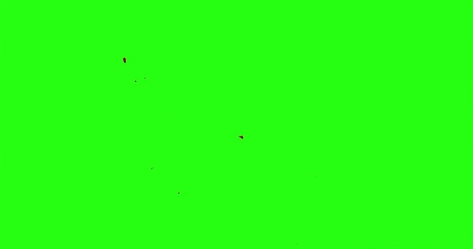 4k Blood Burst Motion Blur (Green Screen) 142
