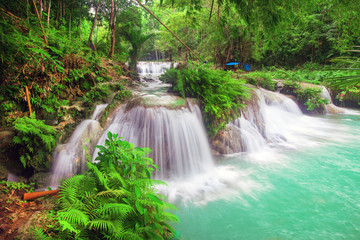 waterfall of island of Siquijor. Philippines