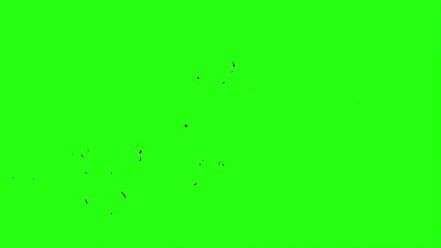 Hd Blood Burst Motion Blur (Green Screen) 34