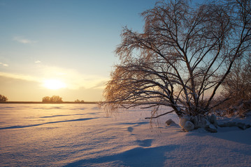 Fototapeta na wymiar Beautiful winter landscape with frozen lake, big tree and sunset