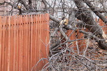 Winds Tear Through Downtown Colorado Springs