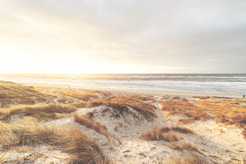 goldene Dänische Nordseeküste