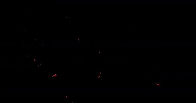 4k Blood Burst Motion Blur (With Alpha) 80