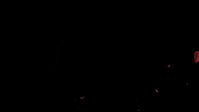 Hd Blood Burst Motion Blur (With Alpha) 198