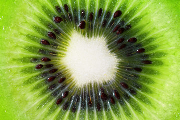 Sliced Kiwi Macro Close-up