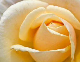 Parc de la Rosaleda 2011-06-12