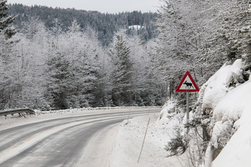 Norway snow road and moose traffic sign in winter ice cold forest