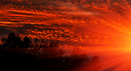 Fiery orange sunset  colorful and speckled  clouds.