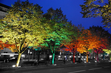 Obraz premium Bäume