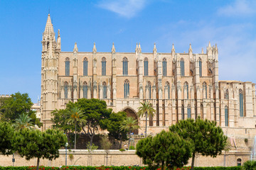 Fototapeta premium Balearic Islands Palma de Mallorca famous historical La Seu Cat