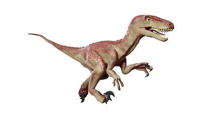 running Dromaeosaur dinosaur (3d illustration isolated on white background)