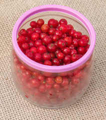 Red currants in glass jarl