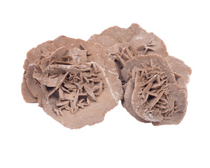 Gypsum desert sand rose isolated on white background