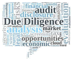 Due Diligence word cloud