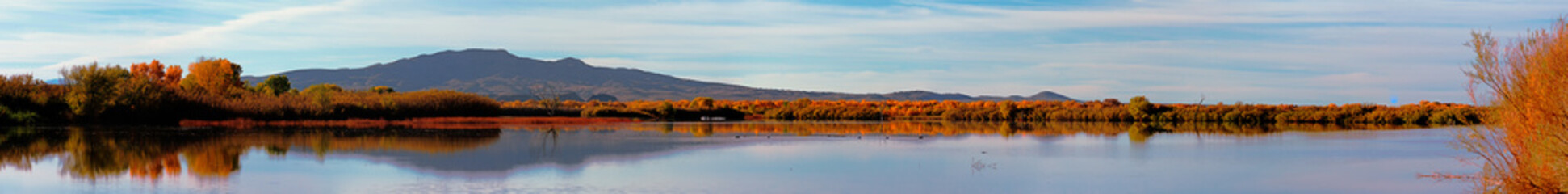 Bosque Del Apache Fall Panorama