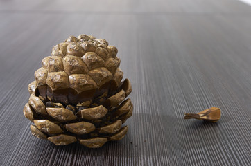 Pine cones